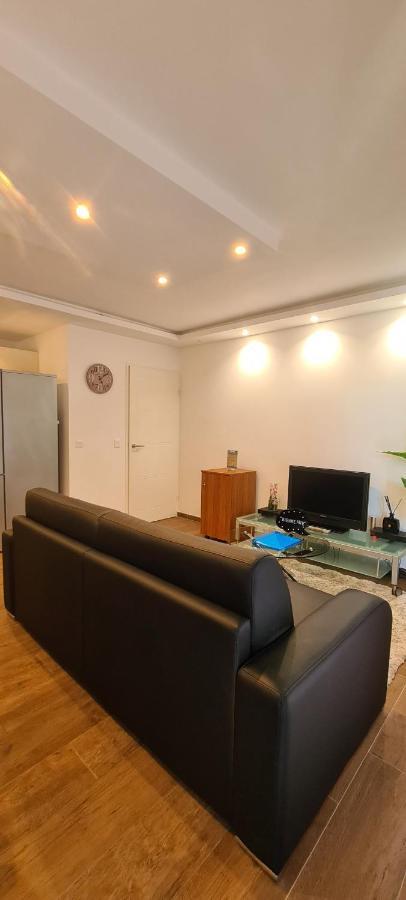 Appartement Le Cocon du Léman 4 Étoiles Netflix&Mini-Bar&Parking Privé&Balcon à Viry  Extérieur photo