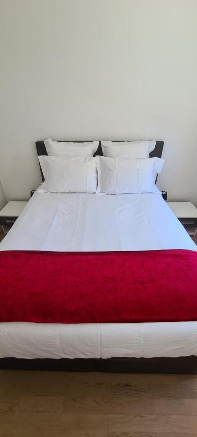 Appartement Le Cocon du Léman 4 Étoiles Netflix&Mini-Bar&Parking Privé&Balcon à Viry  Extérieur photo