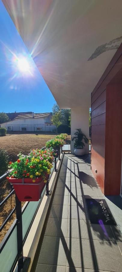 Appartement Le Cocon du Léman 4 Étoiles Netflix&Mini-Bar&Parking Privé&Balcon à Viry  Extérieur photo
